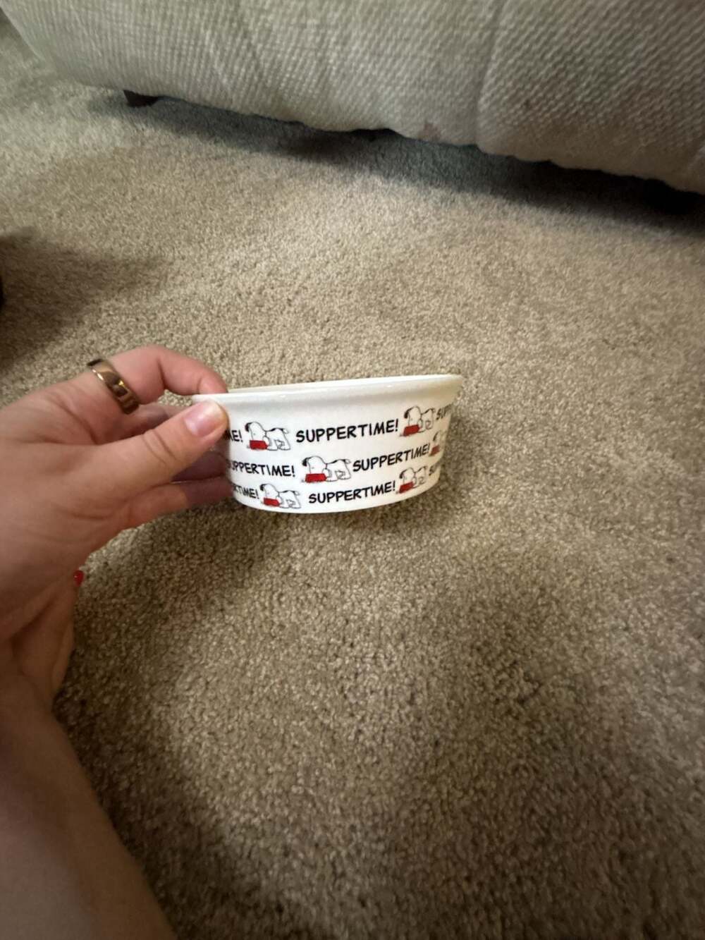 Peanuts Snoopy 'Suppertime' Ceramic Pet Food/Water Bowl by Gibson Overseas